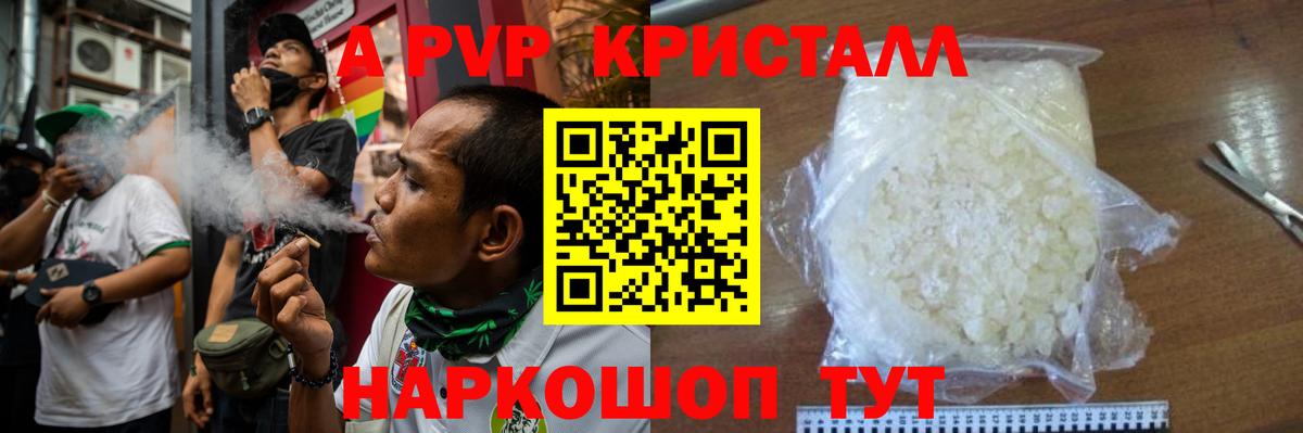 A-PVP СК КРИС Малгобек