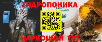 таблы Гатчина