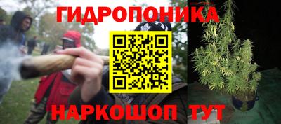 МДПВ Гагарин