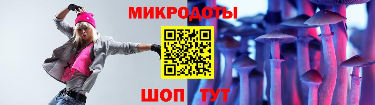 Малгобек  Псилоцибиновые грибы Psilocybe  Вход с VPN 